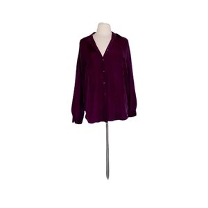Express M Long Sleeve 100% Silk Shirt Purple Woman